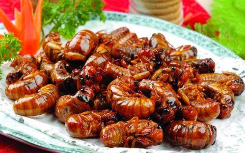 最新新康饭菜爆料图片,最新爆料图片曝光，美味与营养并存！”  第1张